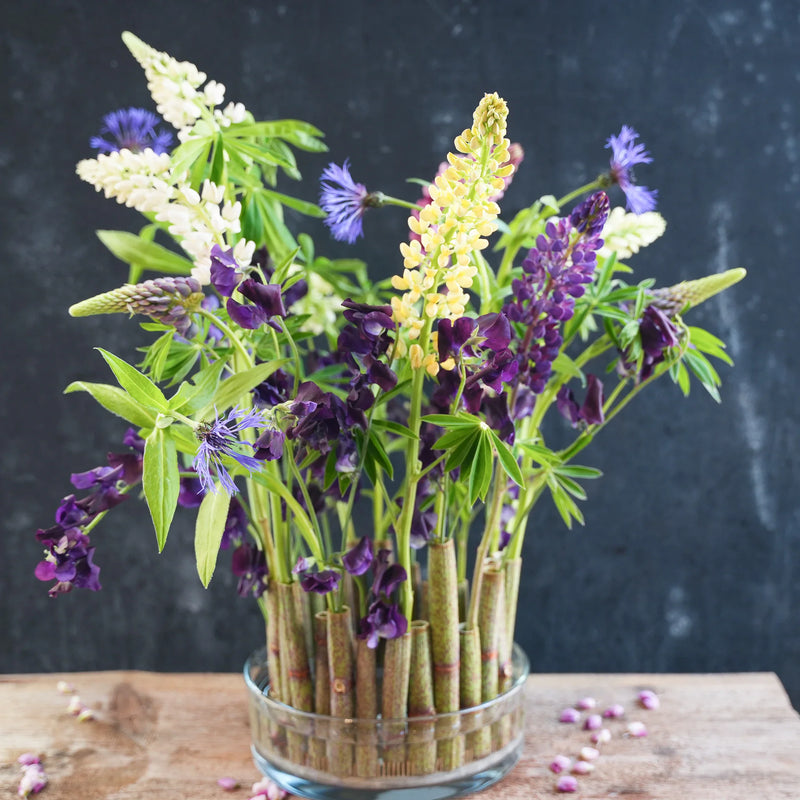 Levendig arrangement van lupinen en andere bloemen, vastgezet door een 120 mm kenzan aan de basis, tegen een donkere achtergrond met verspreide bloemblaadjes.