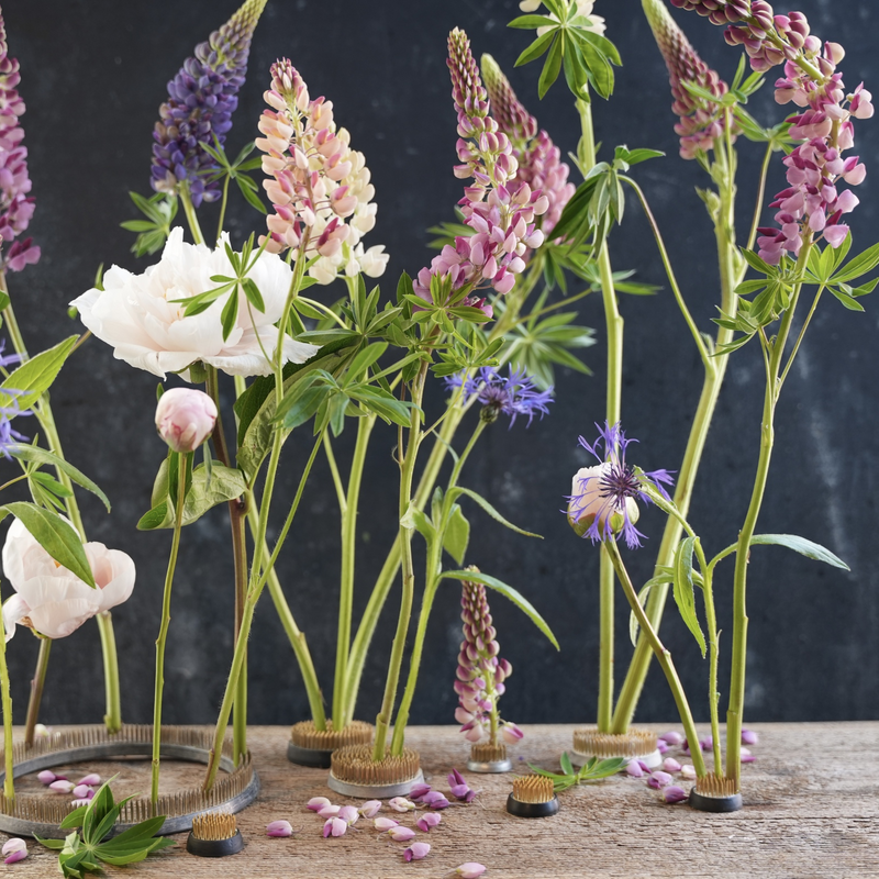 Verschillende bloemen, waaronder lupinen en rozen, elegant weergegeven op een 34mm Hanataba kenzan ring, tegen een donkere achtergrond met verspreide bloemblaadjes op het oppervlak.