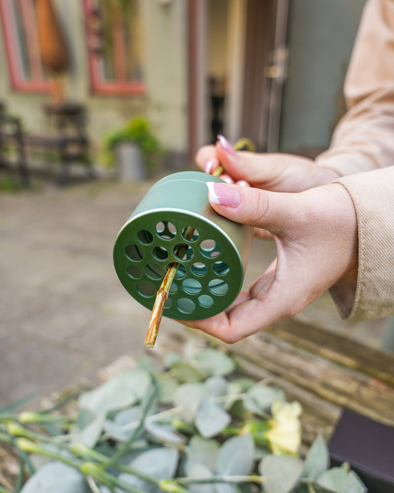 Een persoon houdt een Hanataba Ivy Green bloemenkikker vast met een bloemstengel door een van de gaten. Eucalyptusbladeren en ander groen liggen verspreid op het oppervlak eronder. De achtergrond toont een buitenomgeving.