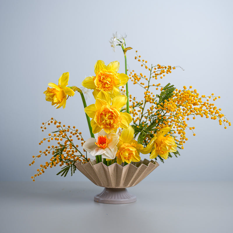 Felgele narcissen en tere mimosatakjes in een beige vaas, kunstig gearrangeerd met een 70 mm Kenzan Fakir ring.