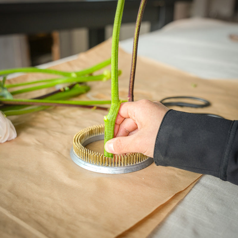 Voorbeeld van een bloemstuk met de Kenzan Ring 120mm om gebruiksgemak en effectiviteit te demonstreren