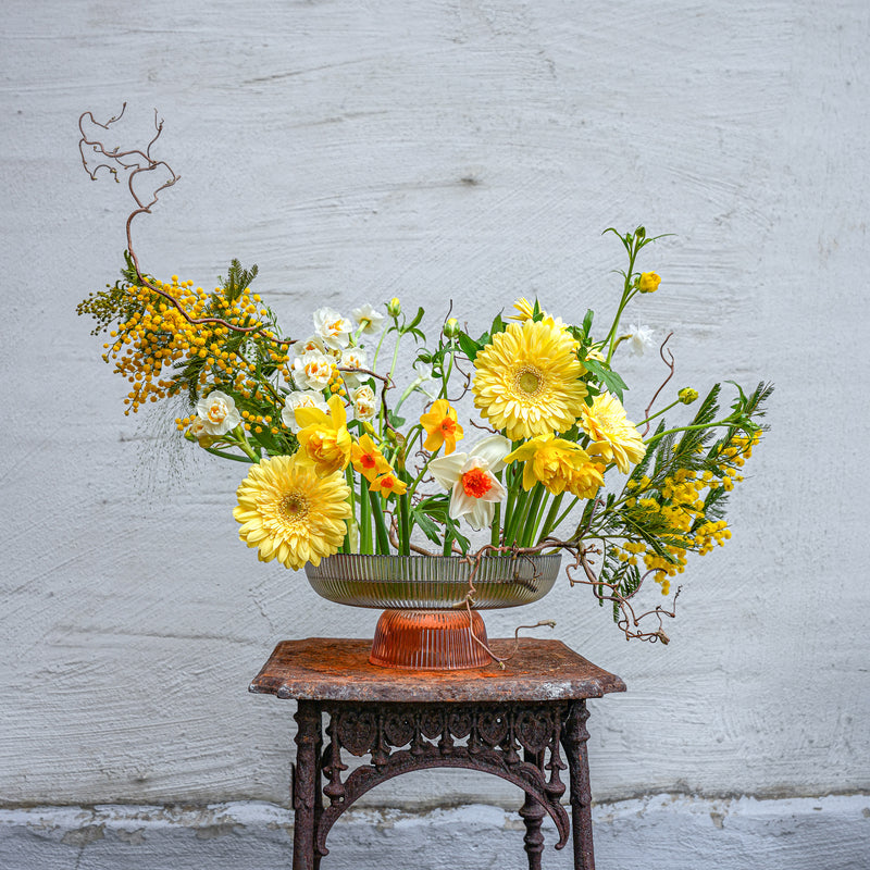 Een levendig bloemstuk met gele gerbera's, narcissen en mimosa verankerd door een 200 mm Kenzan Fakir ring tegen een witte muur op een antieke tafel.