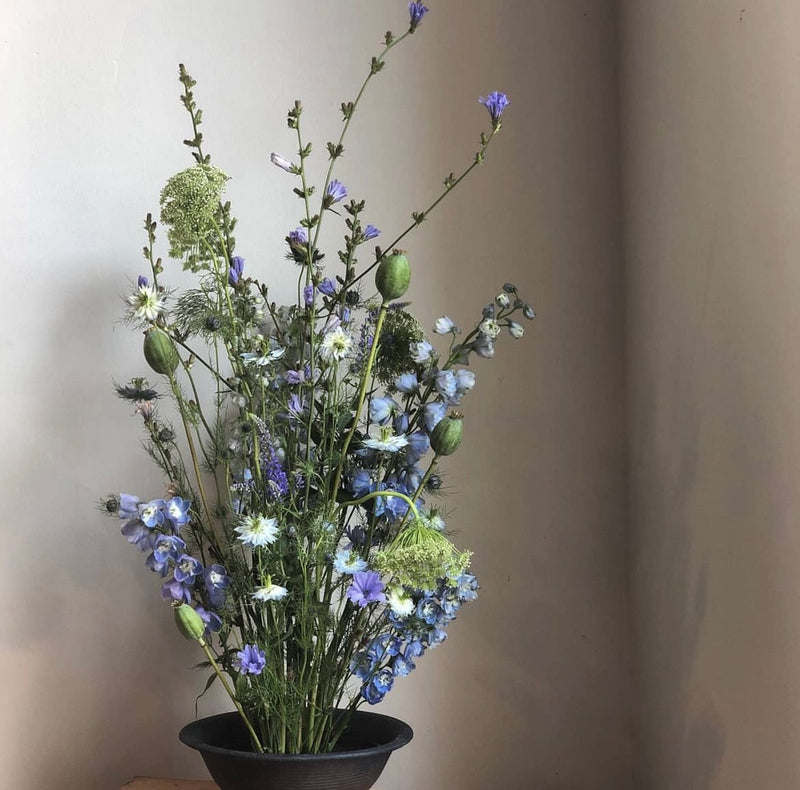 Een eclectische mix van blauwe en witte wilde bloemen met delicaat groen, uitgestald in een donkere schaal op een kenzanring, tegen een neutrale achtergrond.