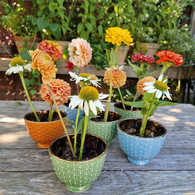 Verschillende dahlia's en echinaceabloemen in keramische potten met textuur, elk verankerd met een 34 mm Kenzan ring.