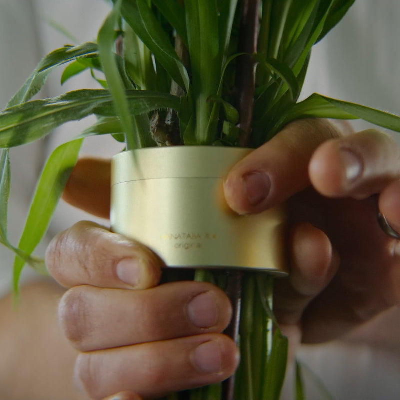 Close-up van handen die een Hanataba Champagne Gold boeket twister om een bos groene stelen draaien, wat de unieke elegantie van het arrangement benadrukt.