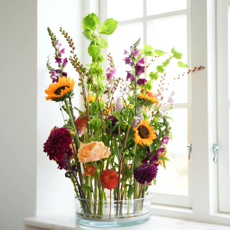  Een weelderig en kleurrijk arrangement van gemengde bloemen, waaronder oranje calendula's, paarse leeuwenbekken en dieprode dahlia's, vastgezet door een 200 mm Kenzan ring op een vensterbank, verlicht door natuurlijk licht.