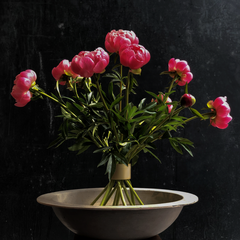 Levendige roze pioenrozen in een Champagne Gold Hanataba boeket twister in een ondiepe schaal, tegen een achtergrond van donkere textuur.